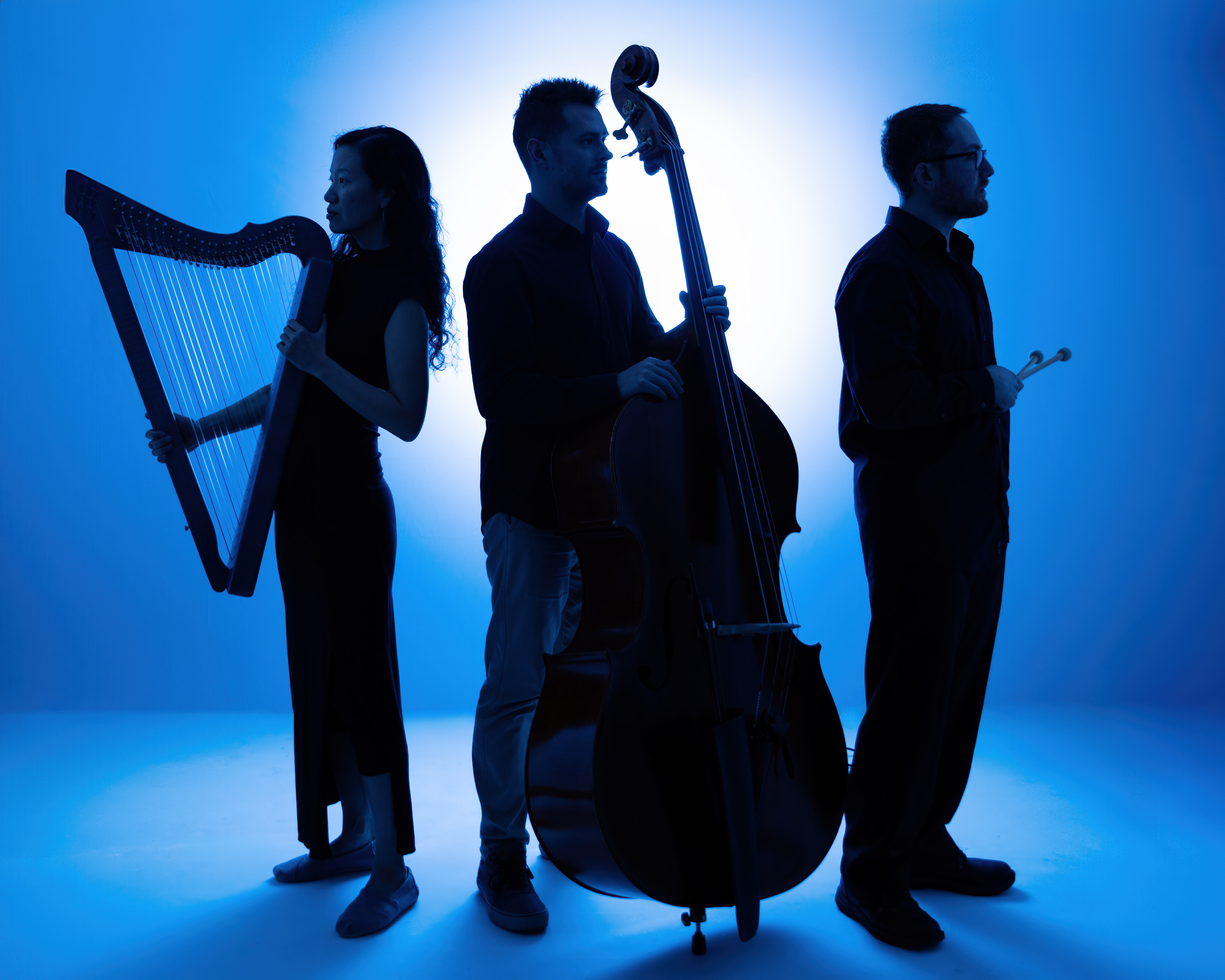 An image of Rock City Falls Trio (Alex Chang, harp; Jason Handron, double bass; Adam Forman, drums).