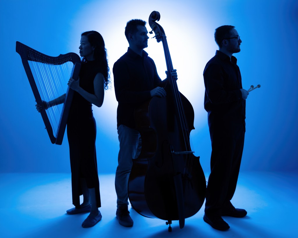 An image of Rock City Falls Trio (Alex Chang, harp; Jason Handron, double bass; Adam Forman, drums).