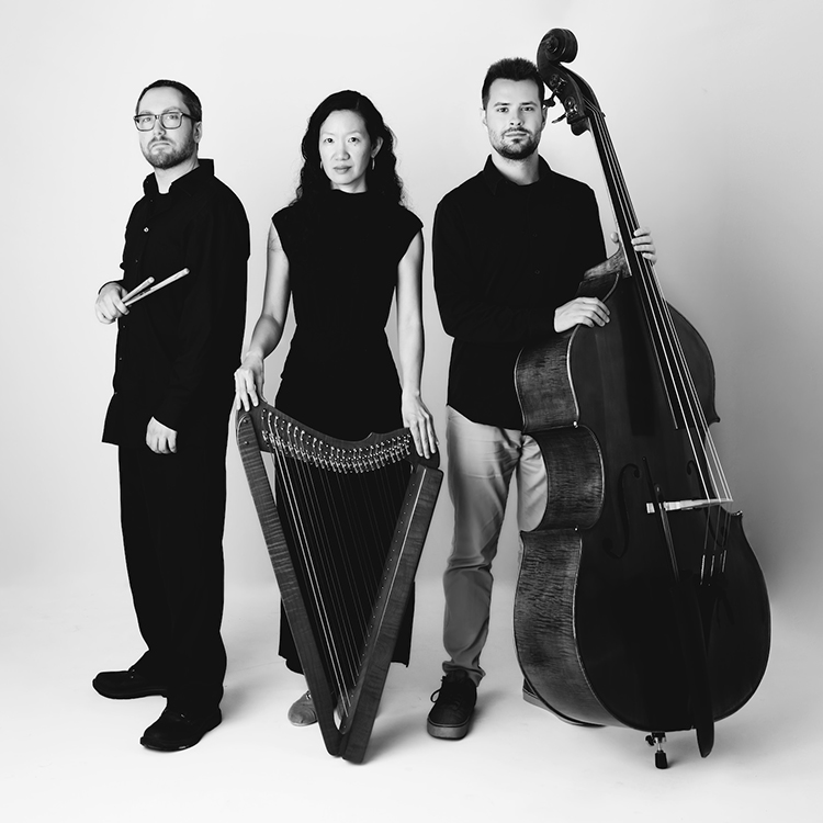 Rock City Falls Trio